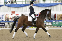 Sarah Fox Dressage